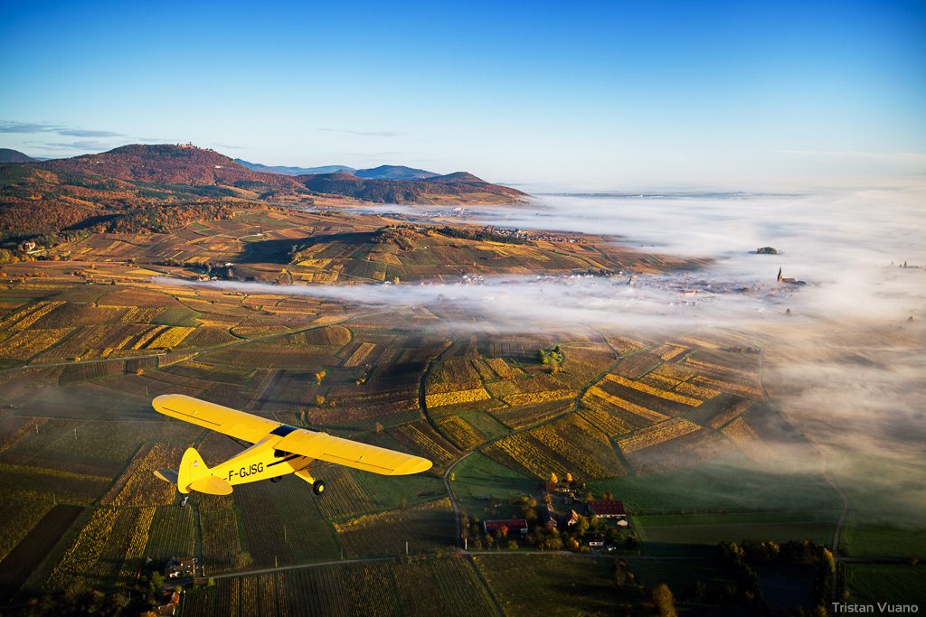 Vue aérienne du vignoble alsacien au petit matin, brume sur la plaine et collines des Vosges